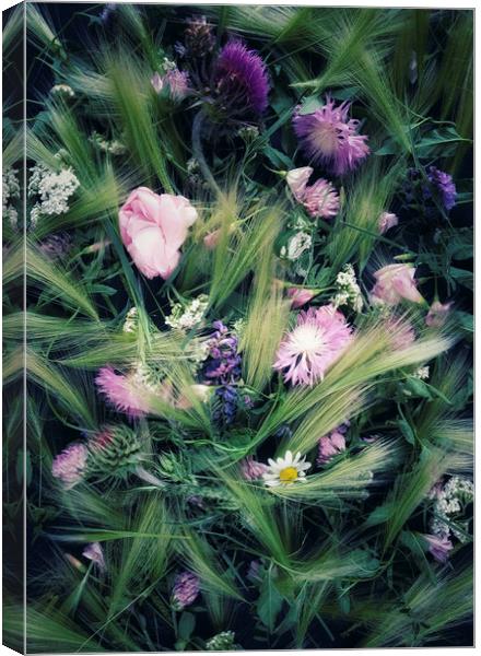 Meadow flowers Canvas Print by Larisa Siverina