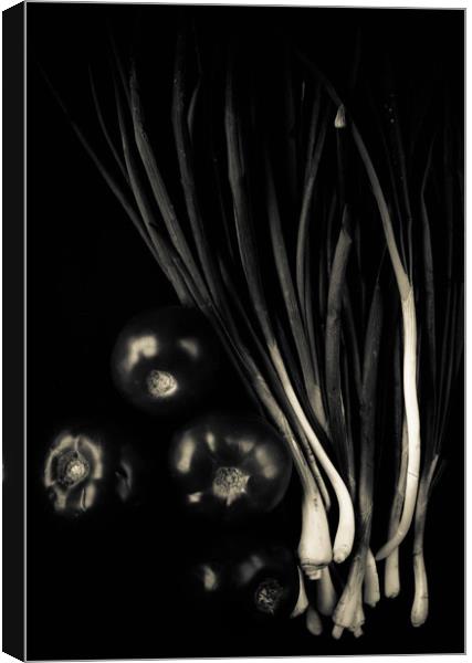 Black vegetable Canvas Print by Larisa Siverina