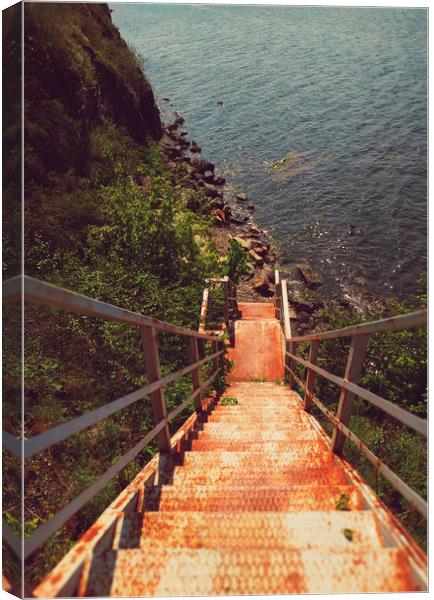 Old rusty stairs Canvas Print by Larisa Siverina