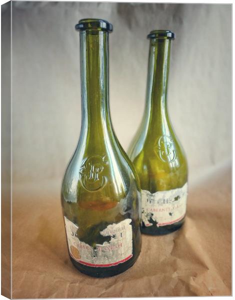 Two wine bottles Canvas Print by Larisa Siverina