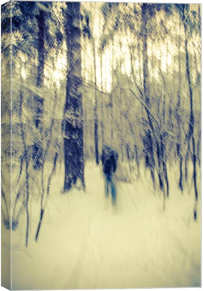 Skier in a winter forest Canvas Print by Larisa Siverina