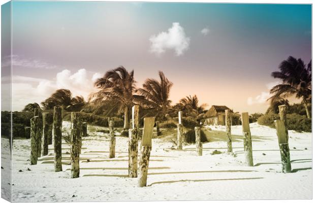 White sand on Tulum beach Canvas Print by Larisa Siverina