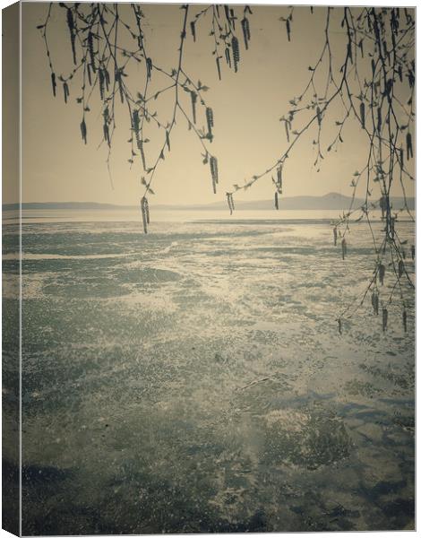 Spring landscape with ice drift on the lake.   Canvas Print by Larisa Siverina