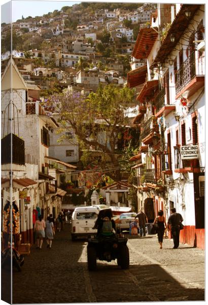 The street in Taxco Canvas Print by Larisa Siverina