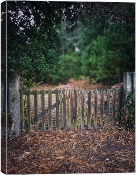 Gate to the old garden Canvas Print by Larisa Siverina