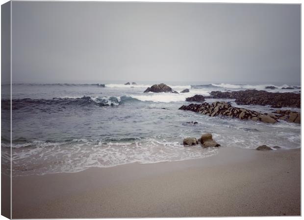 Atlantic ocean, Portugal Canvas Print by Larisa Siverina