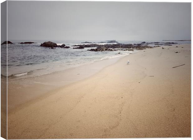 Atlantic ocean, Portugal Canvas Print by Larisa Siverina