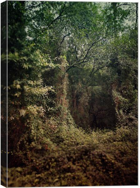 Dense forest Canvas Print by Larisa Siverina