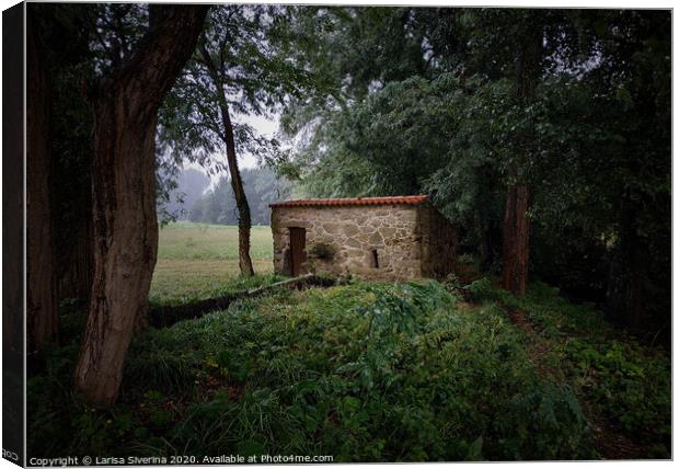 Small house Canvas Print by Larisa Siverina