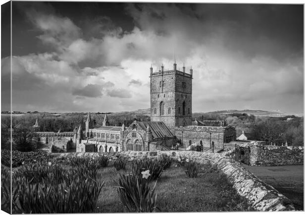 St David's Cathedral, Pembrokeshire, Wales.  Canvas Print by Colin Allen
