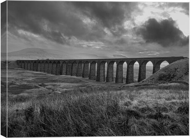 Ribblehead Viaduct - Monochrome Canvas Print by Colin Allen