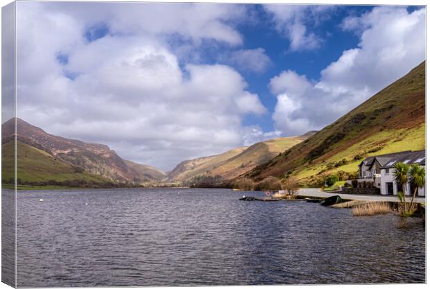 Spring at Talyllyn Lake. Canvas Print by Colin Allen
