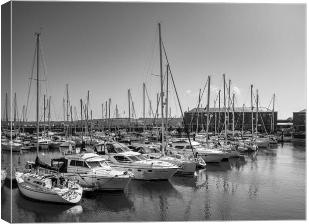 Milford Marina, Milford Haven, Pembrokeshire. Canvas Print by Colin Allen