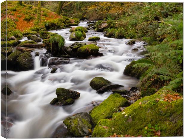 The River at Dolgoch Falls in the Autumn. Canvas Print by Colin Allen