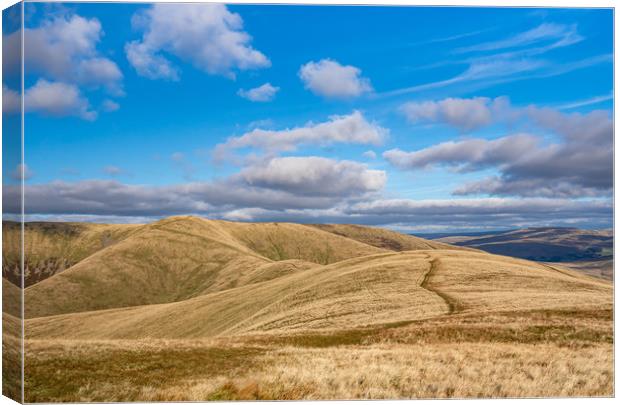Howgill Fells, Yorkshire. Canvas Print by Colin Allen