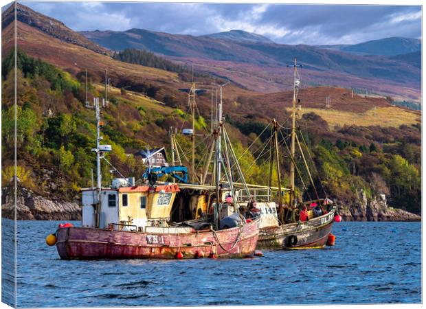 Fishing Boats at Ullapool, Scotland. Canvas Print by Colin Allen
