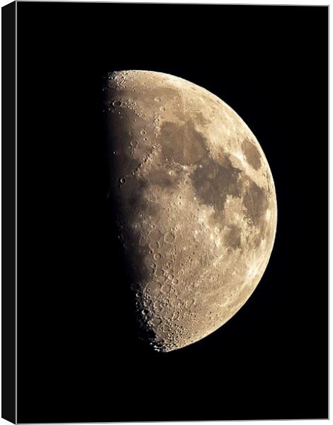 The Moon Canvas Print by Richard Pike