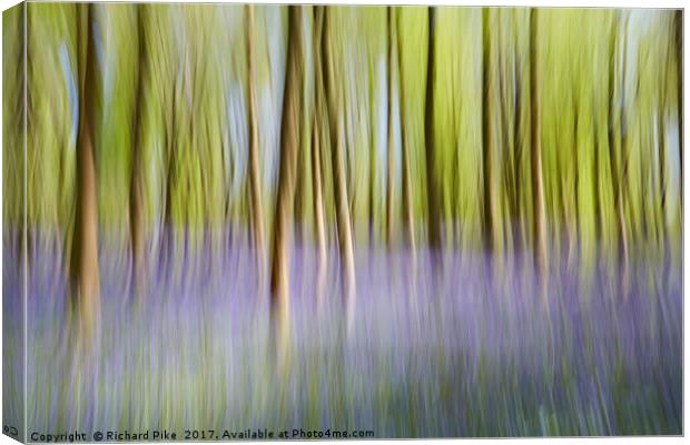 Dreamy Forest Canvas Print by Richard Pike