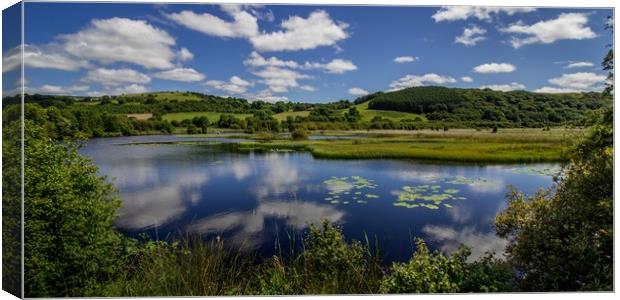 Lillypads and Clouds, Cors Caron, Ceredigion Wales Canvas Print by Jenny Dignam