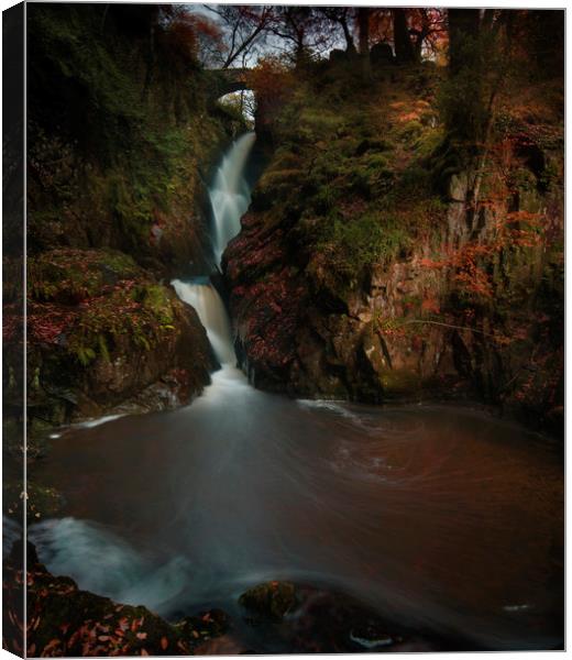Aira Force, Lake District National Park, Cumbria U Canvas Print by Simon Booth