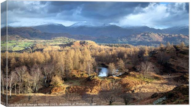 Langdale Mountains from Holme Fell Canvas Print by George Hopkins