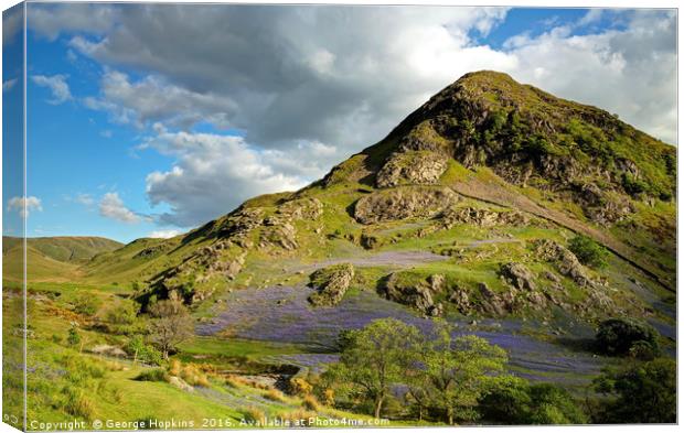 The Bluebells of Rannerdale Canvas Print by George Hopkins