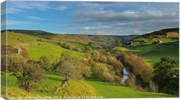 Swaledale Autumn in the Yorkshire Dales Canvas Print by George Hopkins