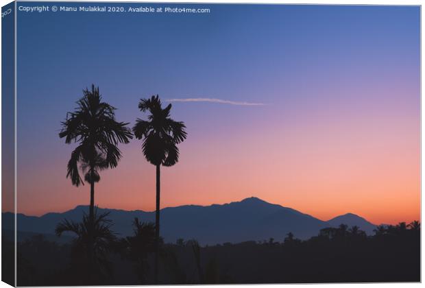 A tree with a mountain in the background Canvas Print by Manu Mulakkal