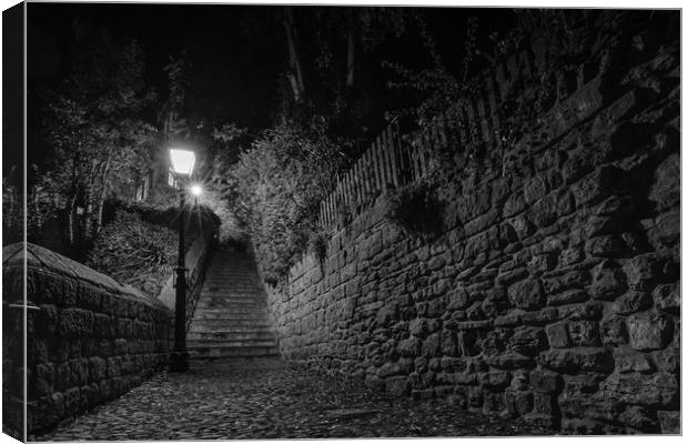 Knaresborough street scene Canvas Print by mike morley