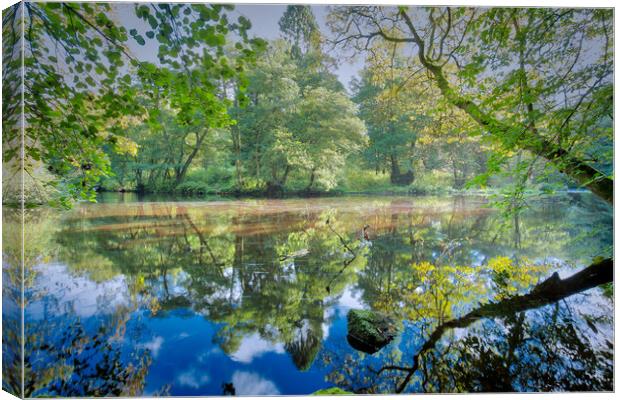 reflections on the river Nidd in Knaresborough Yorkshire Canvas Print by mike morley