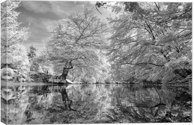 river Nidd in Knaresborough in Infra red Canvas Print by mike morley