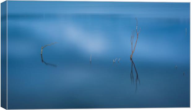 Blue pool abstract at Kenfig pool Canvas Print by Bryn Morgan