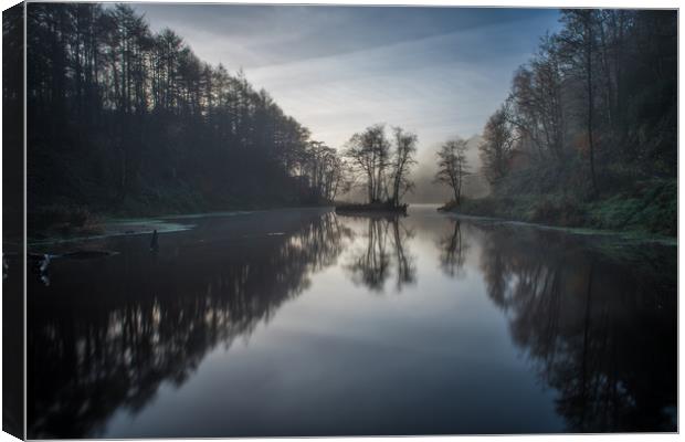 Reflections of a tree at Penllergaer woods. Canvas Print by Bryn Morgan