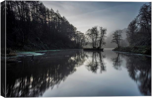Reflections at Penllergaer woods. Canvas Print by Bryn Morgan