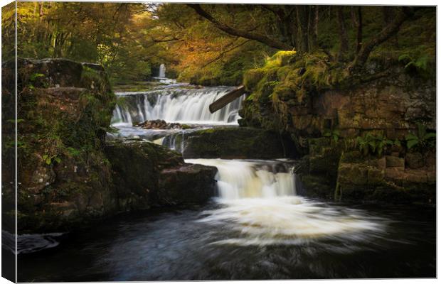 The horseshoe falls, South Wales. Canvas Print by Bryn Morgan