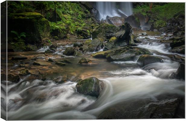 Melincourt waterfall Canvas Print by Bryn Morgan