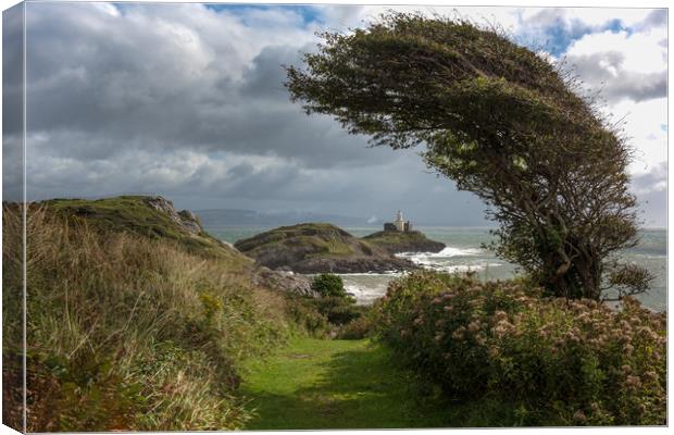 Mumbles lighthouse framed by tree. Canvas Print by Bryn Morgan