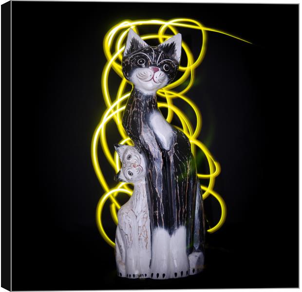 Cat and her kitten, light painting. Canvas Print by Bryn Morgan