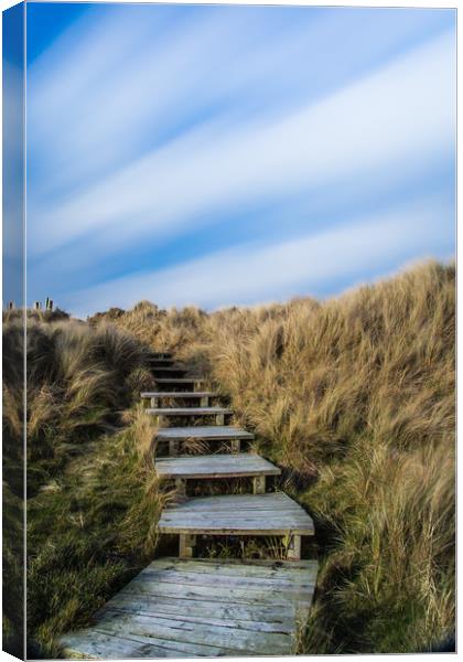Wooden Steps Canvas Print by Steve Lansdell