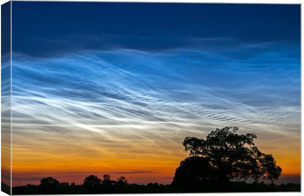 NOCTILUCENT Canvas Print by Steve Lansdell