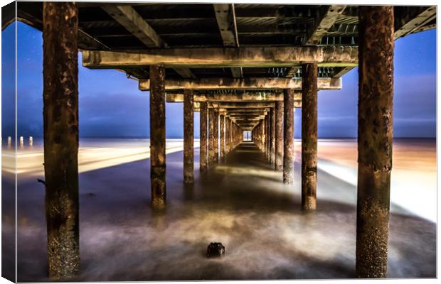 Under the Pier  Canvas Print by Steve Lansdell