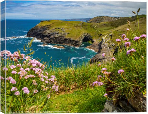 Beautiful View from Tintagel Castle in Cornwall, UK Canvas Print by Chris Dorney