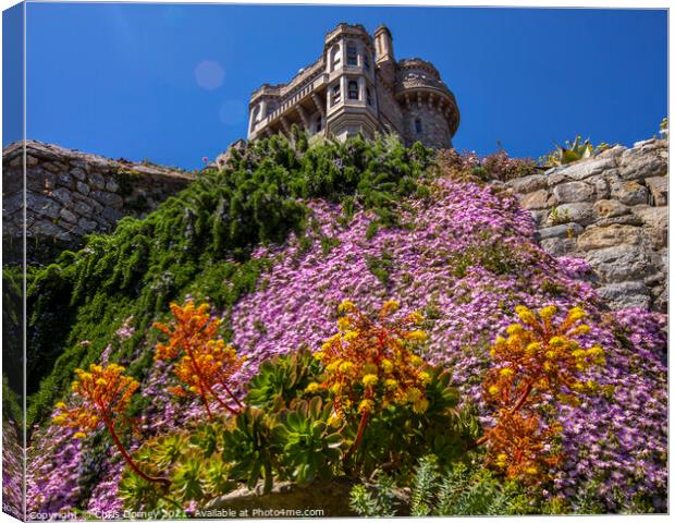 Castle Gardens at St. Michaels Mount in Cornwall,  Canvas Print by Chris Dorney
