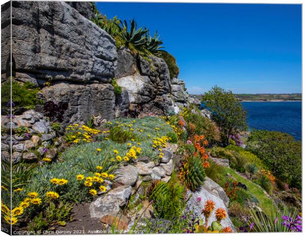 Castle Gardens at St. Michaels Mount in Cornwall, UK Canvas Print by Chris Dorney