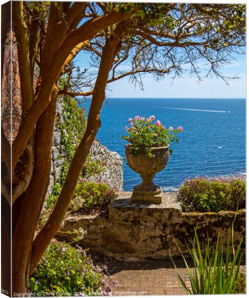 View from the Castle Gardens at St. Michaels Mount in Cornwall Canvas Print by Chris Dorney