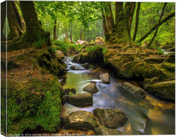 Stream off of the River Fowey in Cornwall, UK Canvas Print by Chris Dorney