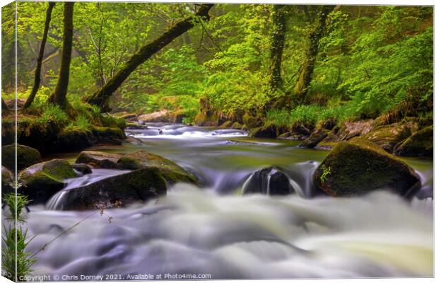 Cascade at Golitha Falls in Cornwall, UK Canvas Print by Chris Dorney
