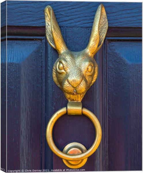 Hare Door Knocker Canvas Print by Chris Dorney