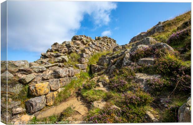 Hadrians Wall in Northumberland, UK Canvas Print by Chris Dorney