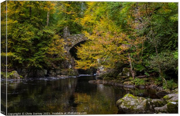 Bridge over the River Braan in the Hermitage Woodland in Scotlan Canvas Print by Chris Dorney